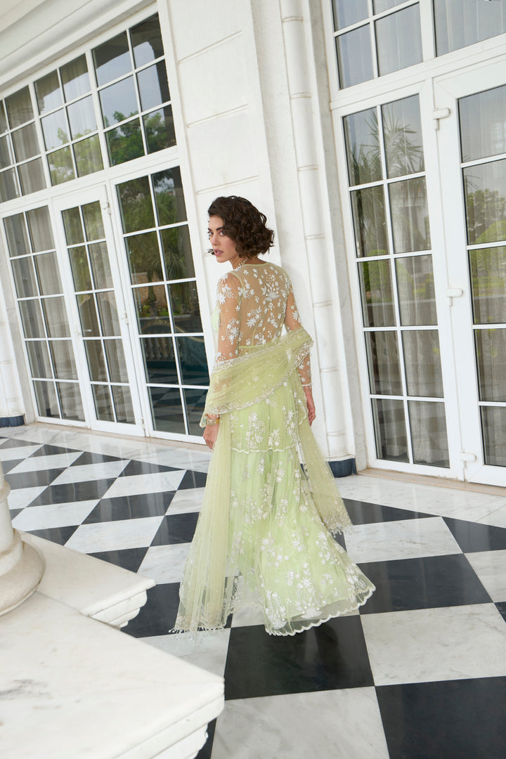 Lime Green Net Peplum Sharara Set