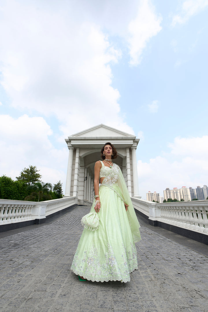 Green Raw Silk Lehenga