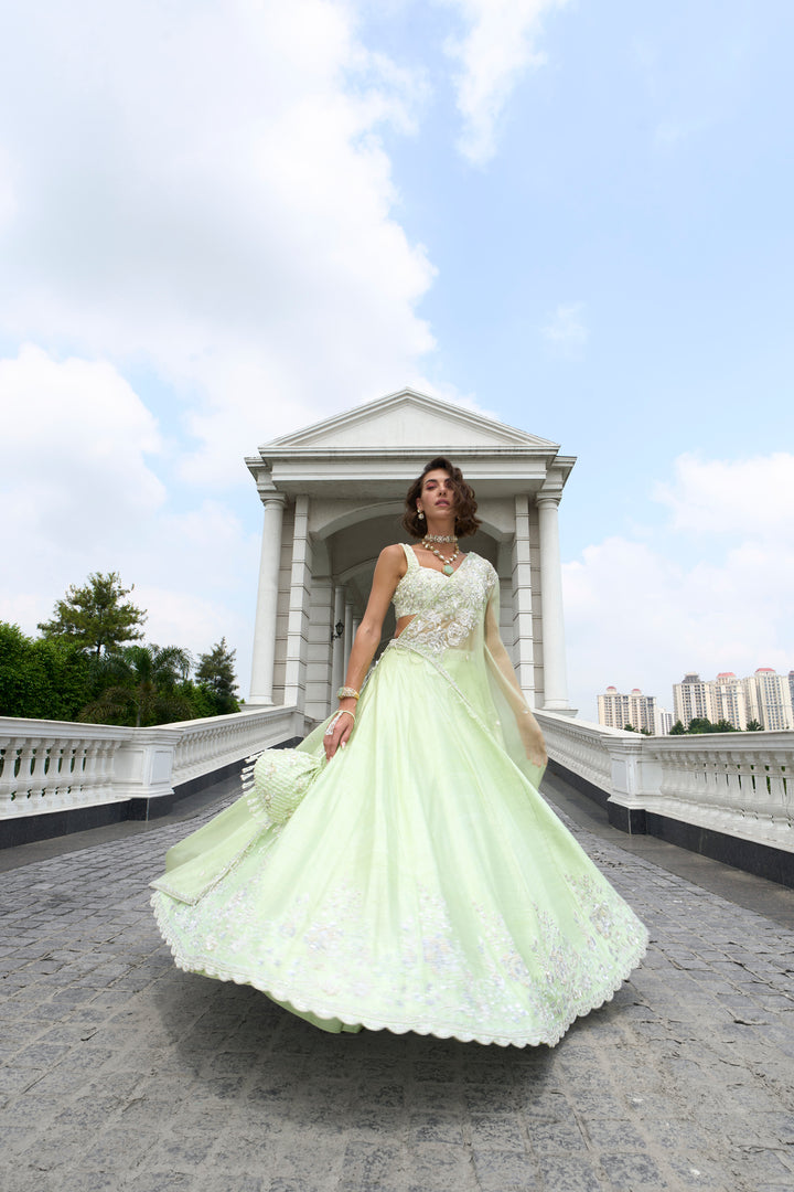 Green Raw Silk Lehenga