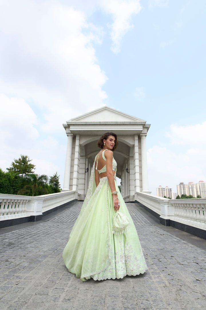 Green Raw Silk Lehenga