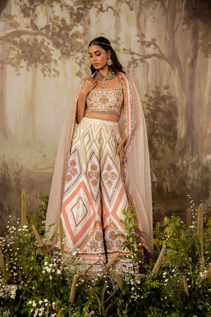 Multicolored Embroidered Lehenga Set
