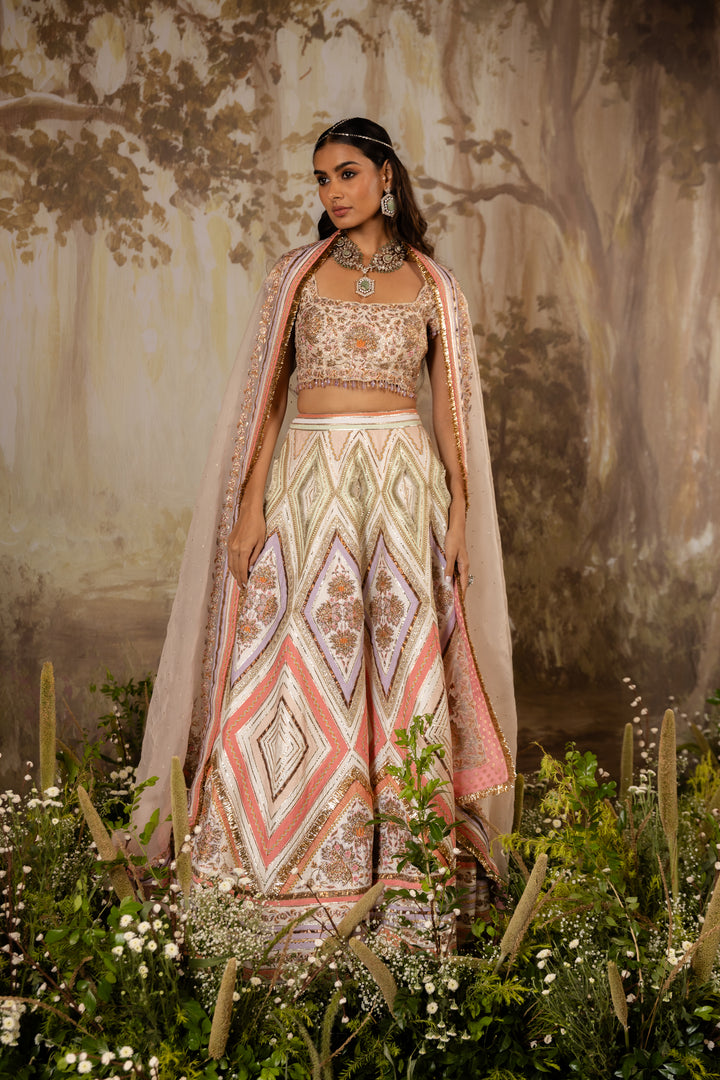 Multicolored Embroidered Lehenga Set