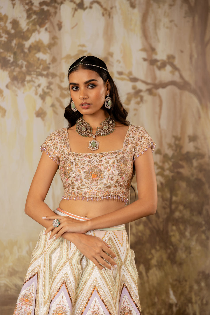 Multicolored Embroidered Lehenga Set