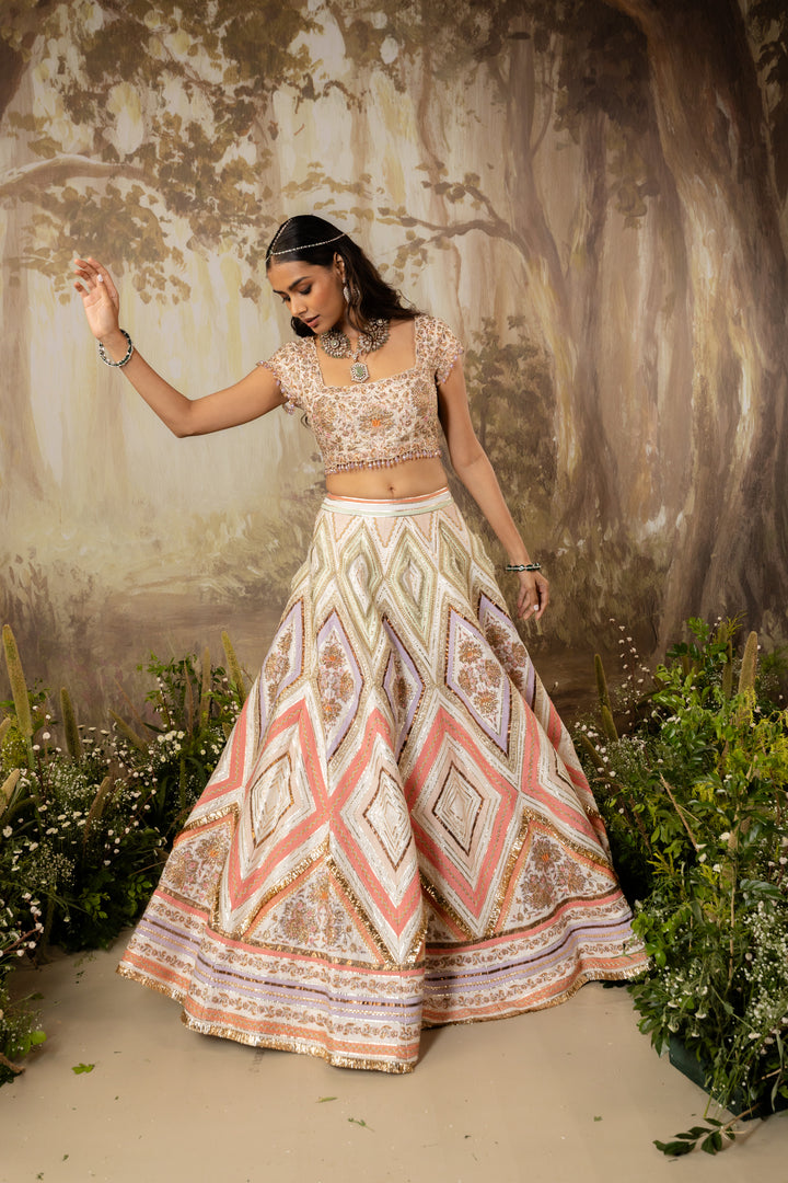Multicolored Embroidered Lehenga Set