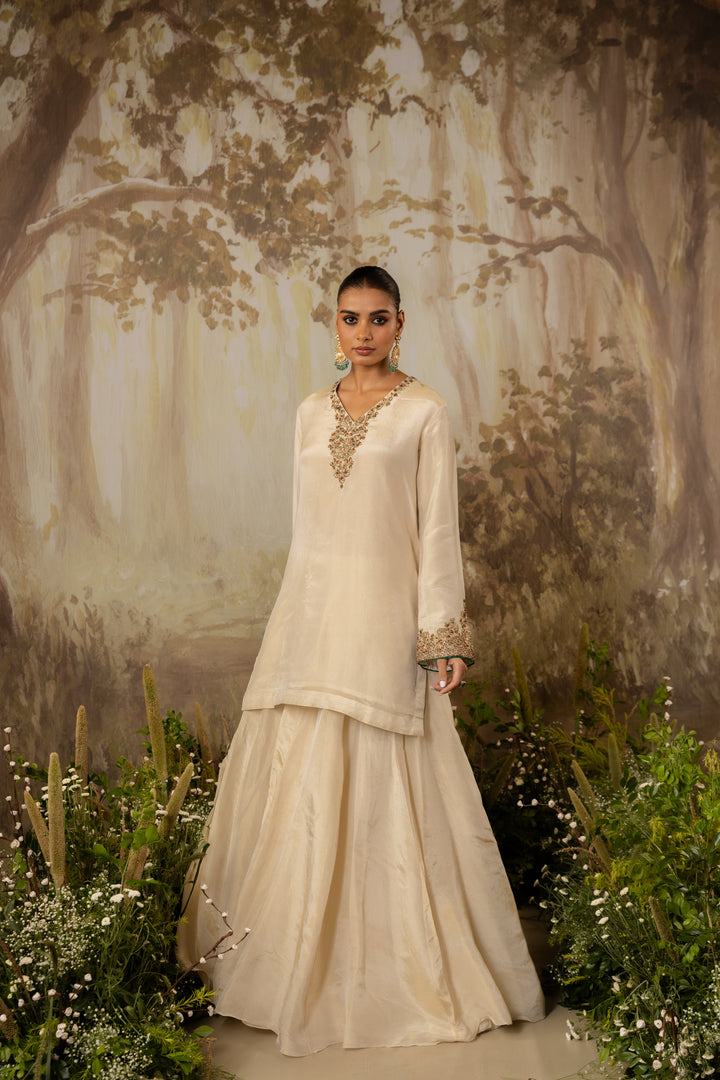 Blush Champagne Tissue Embroidered Kurta Set