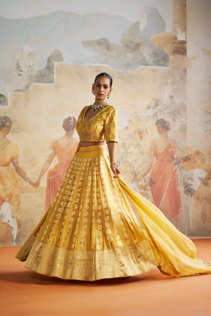 Mustard Banarasi Lehenga Set