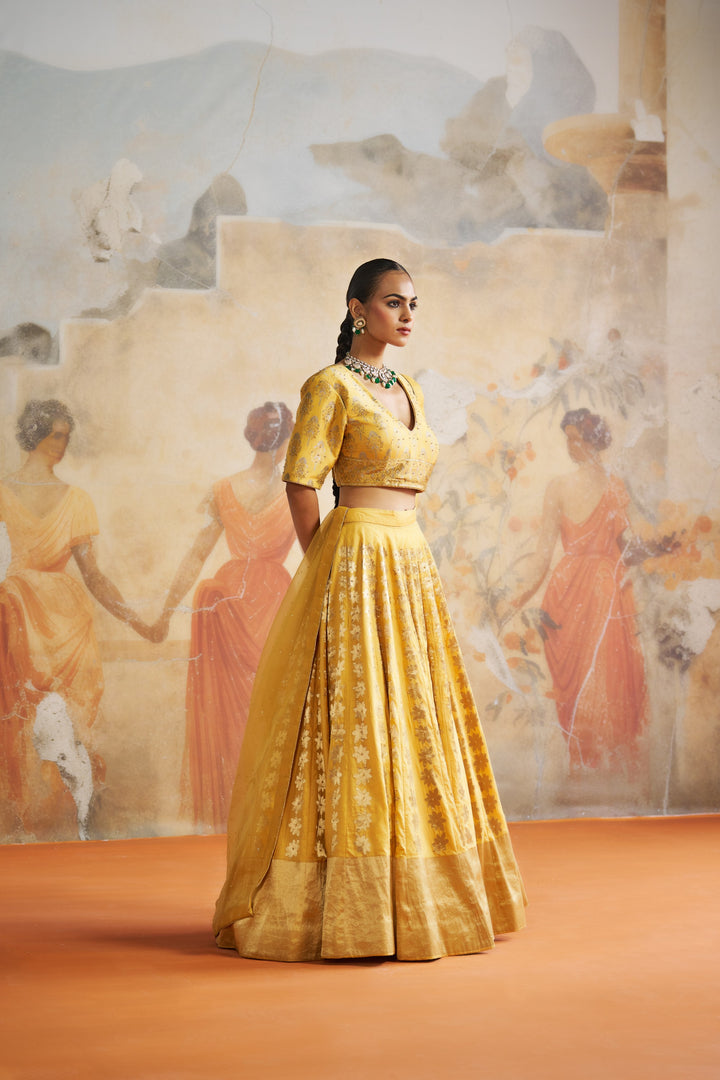 Mustard Banarasi Lehenga Set