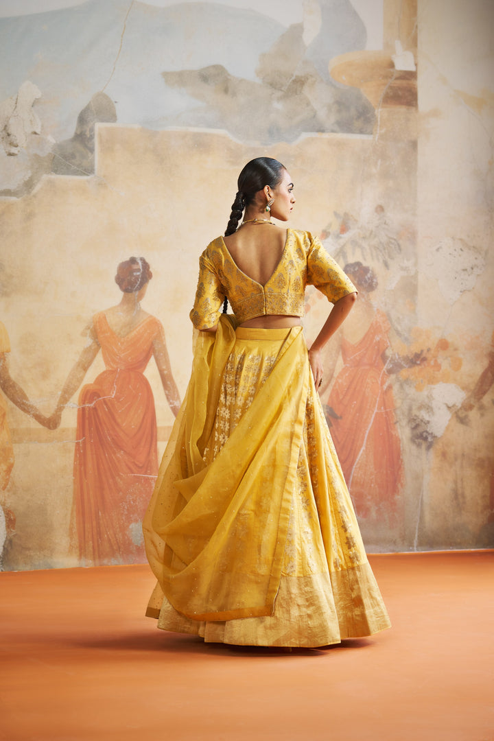Mustard Banarasi Lehenga Set
