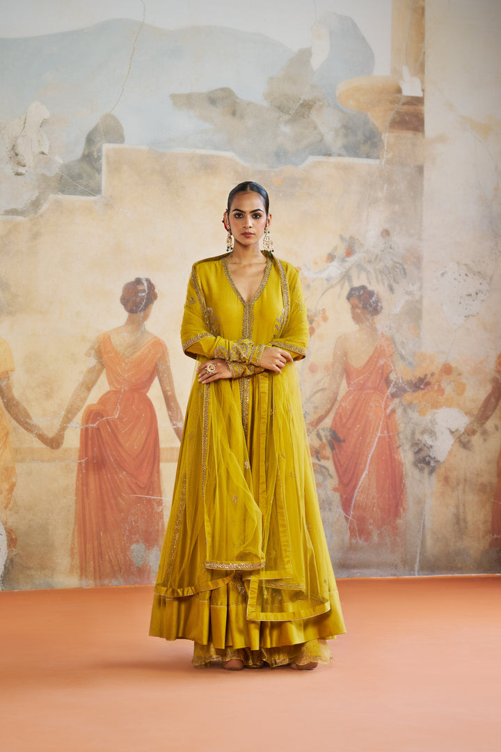 Olive Long Anarkali Set
