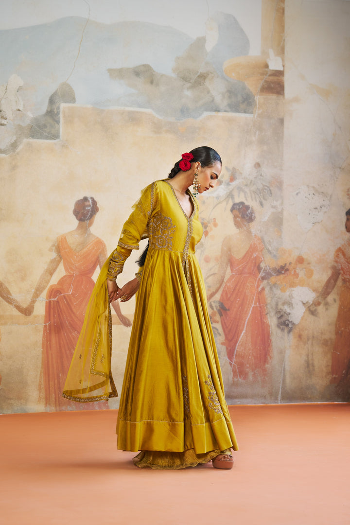 Olive Long Anarkali Set