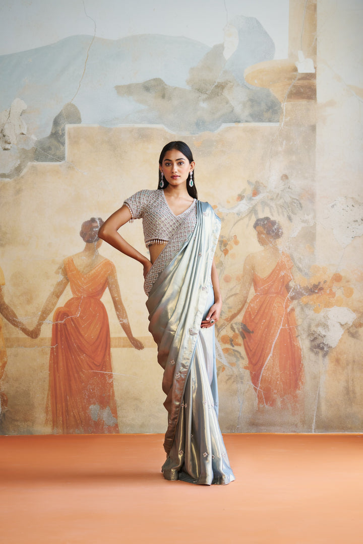 Pearl Grey Embroidered Saree Set