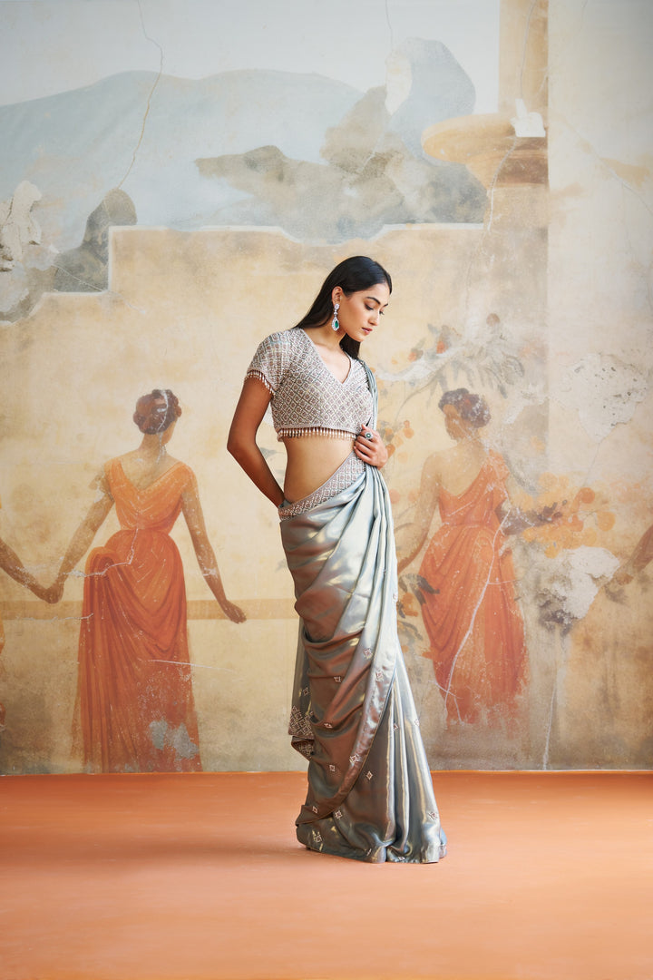 Pearl Grey Embroidered Saree Set