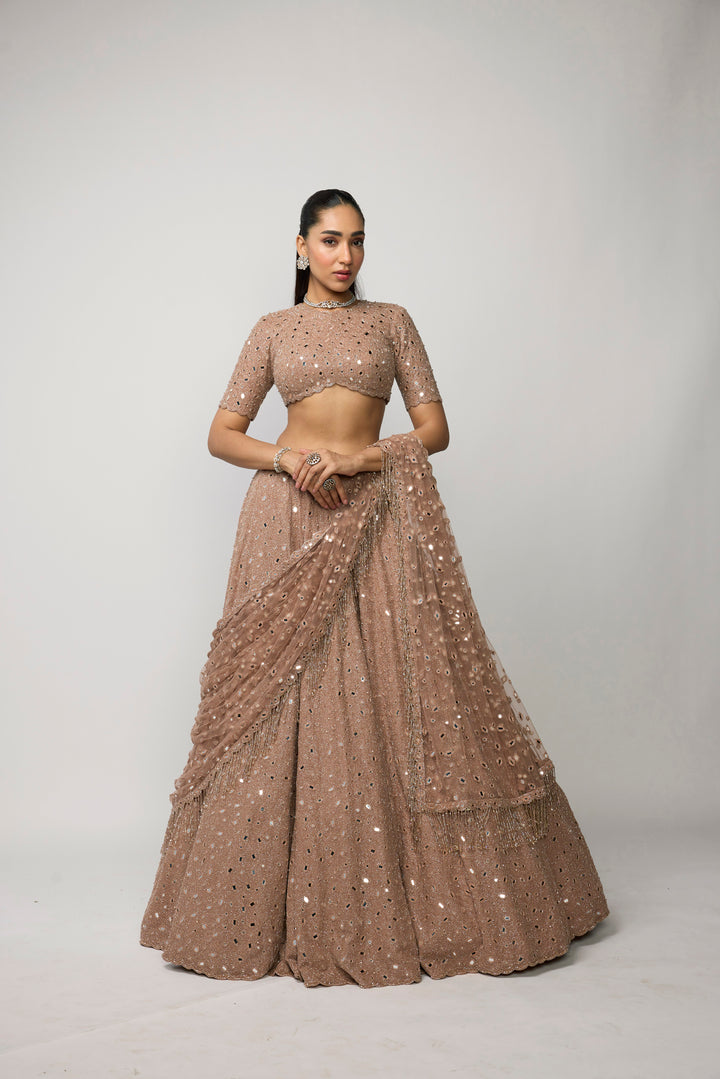 Bronze Rosé Lehenga Set
