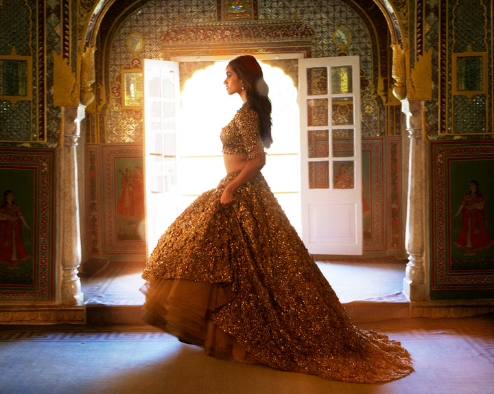 Gold Three-Dimensional Jewel Lehenga Set