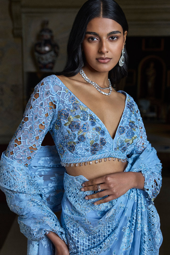 Powder Blue Thread Work Saree