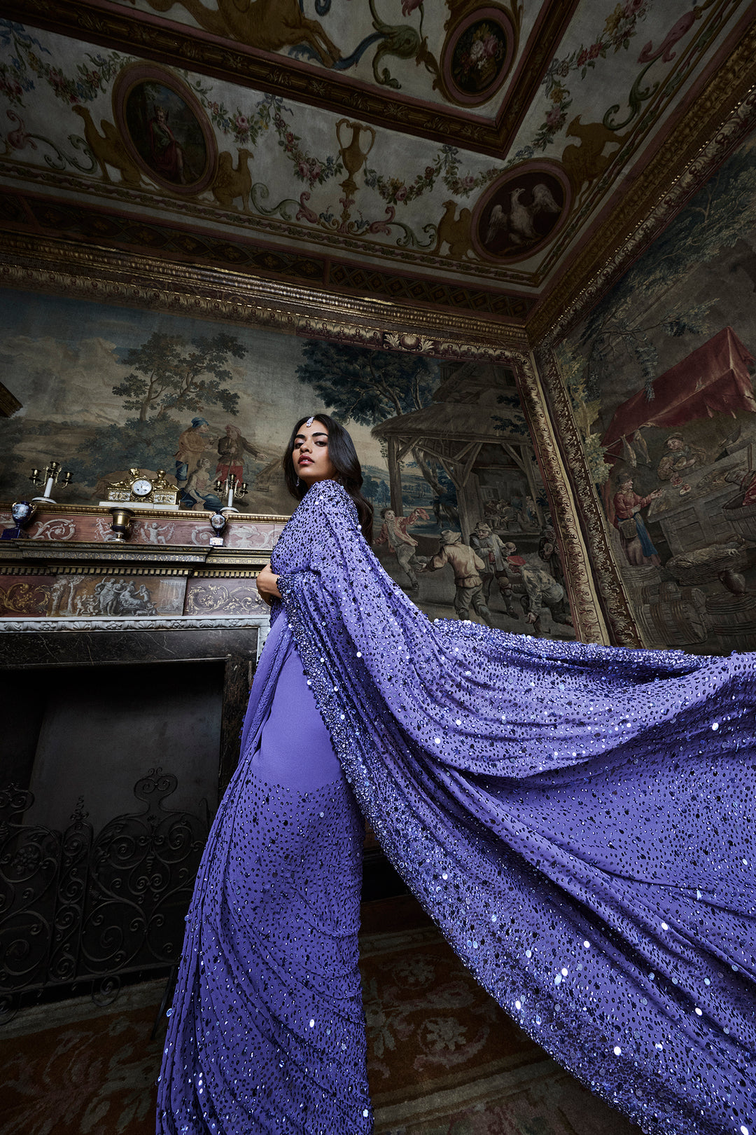 Mauve Sequin Saree