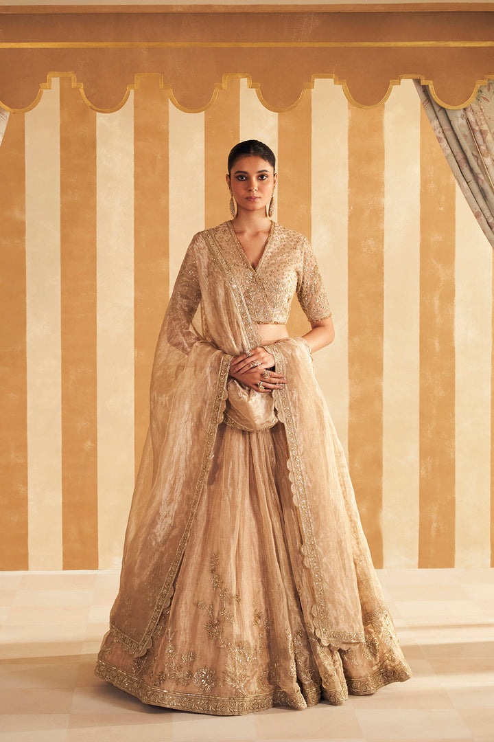 Zarina Lehenga Set