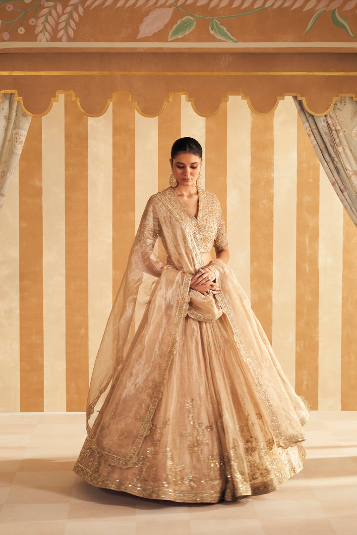Zarina Lehenga Set