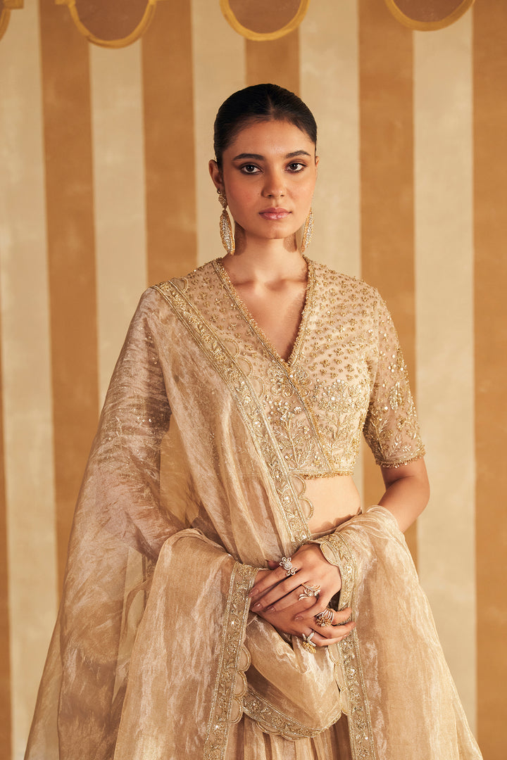 Zarina Lehenga Set