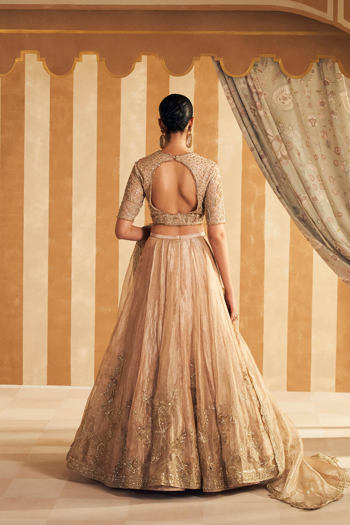 Zarina Lehenga Set