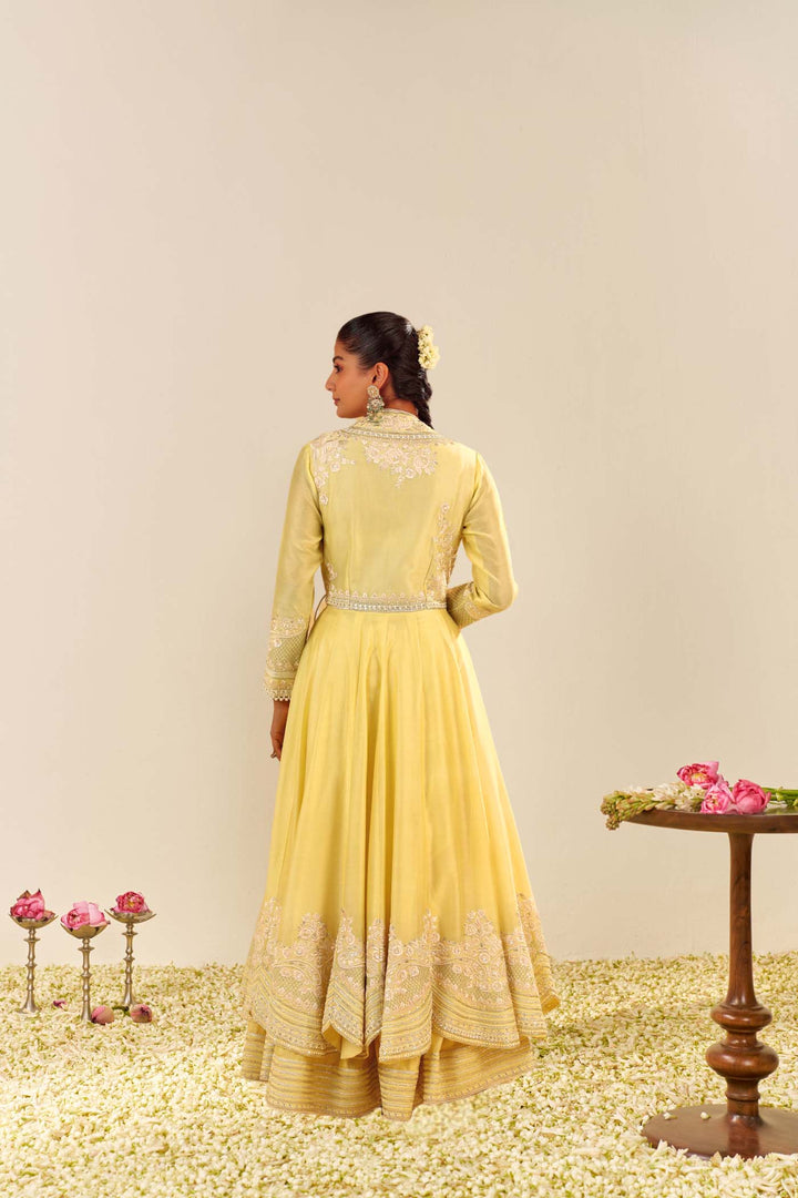Ameena - Long Anarkali
