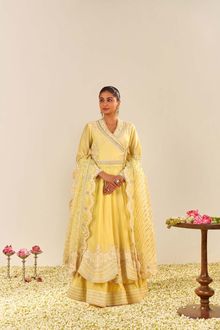 Ameena - Long Anarkali