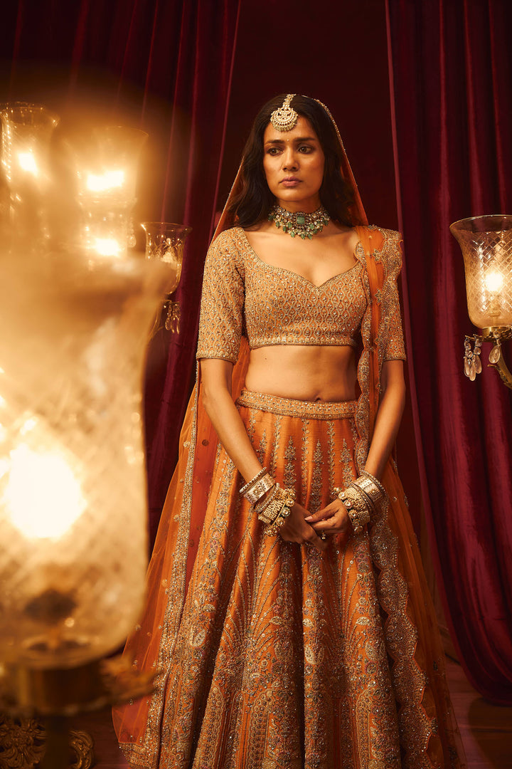 Rust Raw Silk Hand & Machine Embroidered Lehenga Set