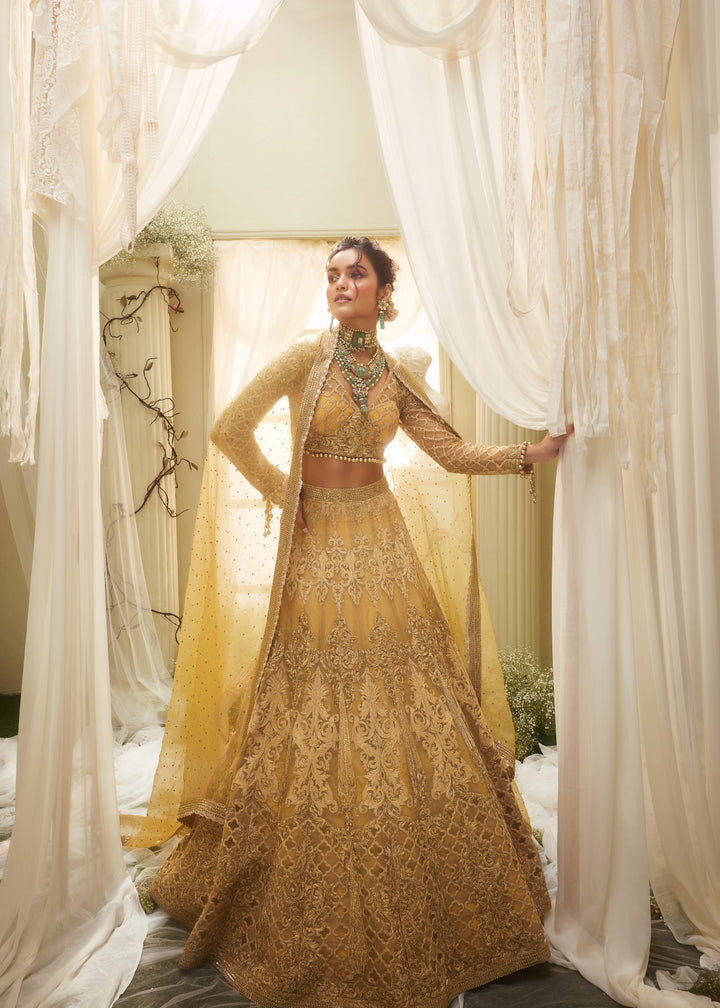 Ida Lehenga Set