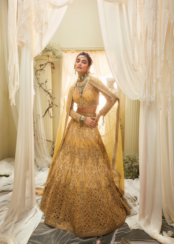 Ida Lehenga Set