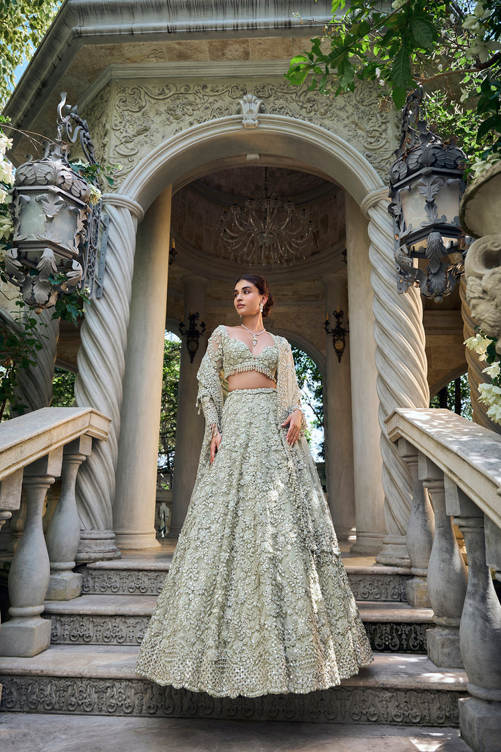 Sage Green Three-Dimensional Lehenga Set