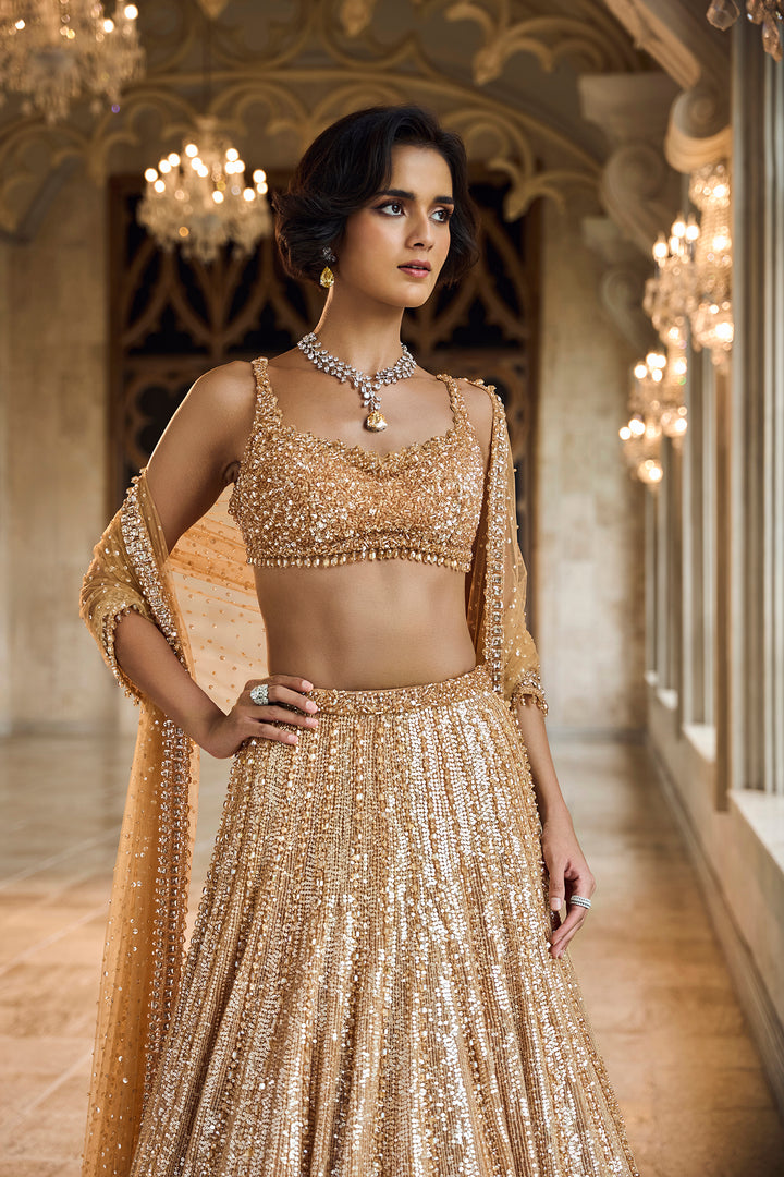 Copper Gold Crystal Lehenga Set
