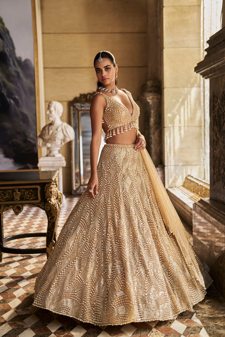 Nude Pearl Lehenga Set