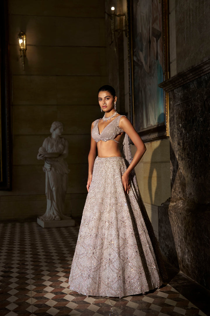 Pink Crystal Lehenga Set