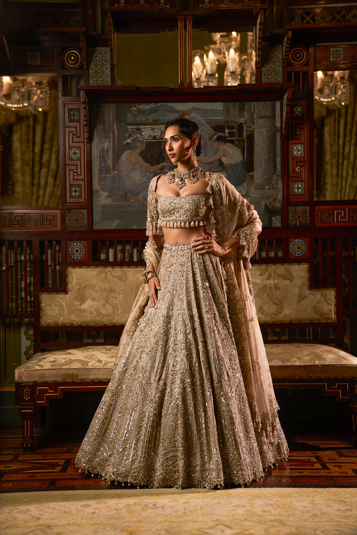 Gold Silver Tissue Lehenga Set