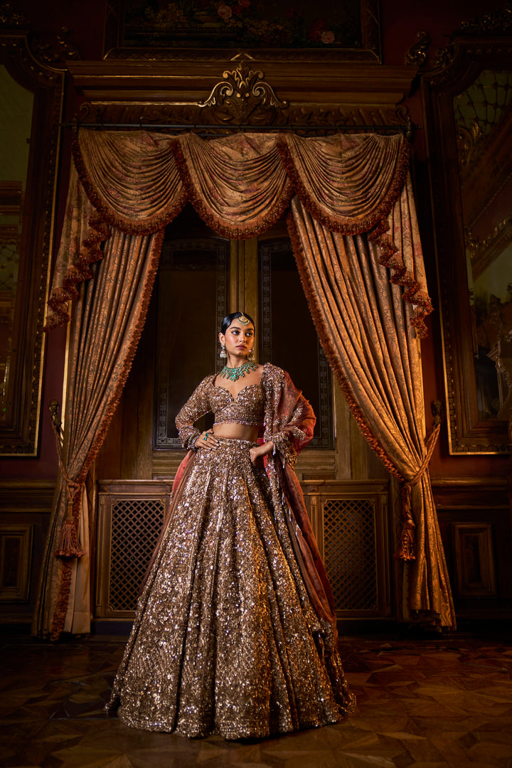 Bronze Tissue Lehenga Set