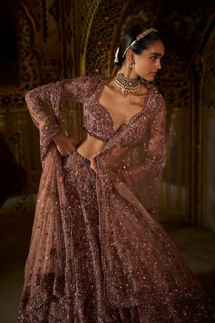 Plum Crystal Lehenga Set