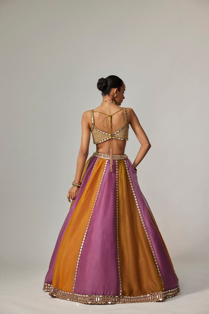 Mustard Multicolor Linear Lehenga With Sweetheart Neck Blouse