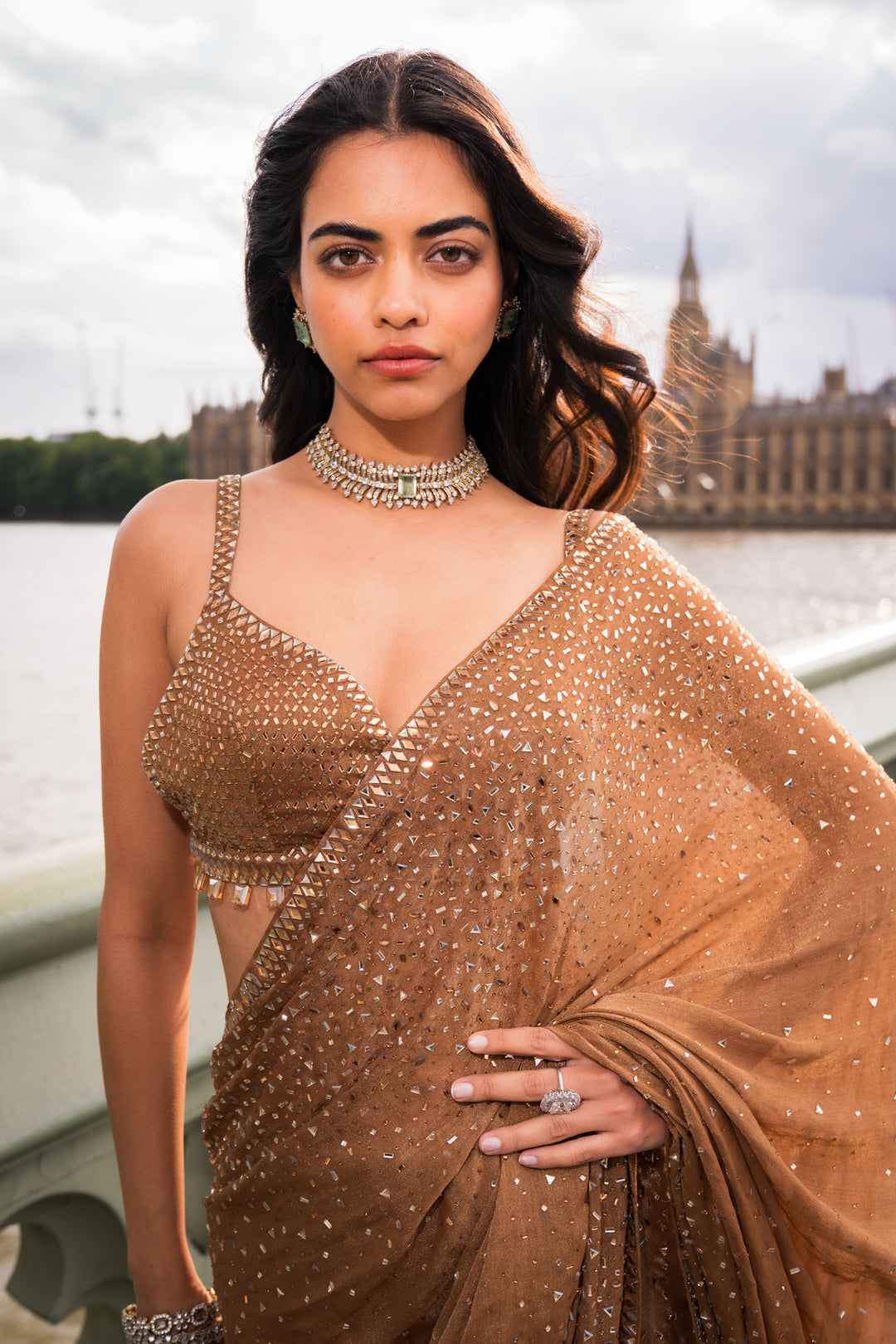 Antique Gold Crystal Saree