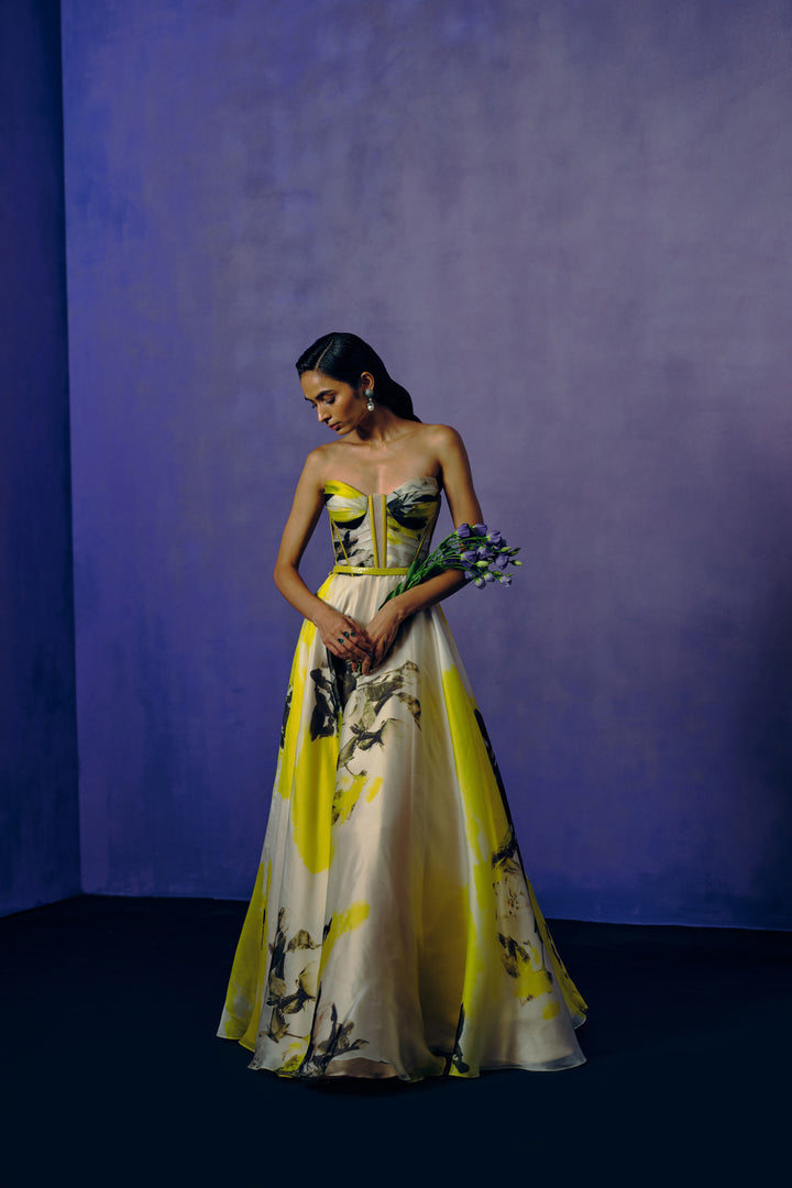 Butterveil Print Ball Gown