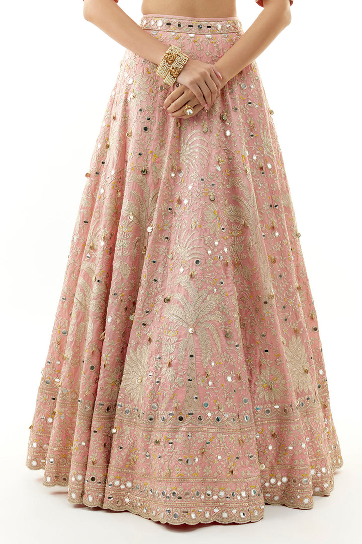 Raima Lehenga Set