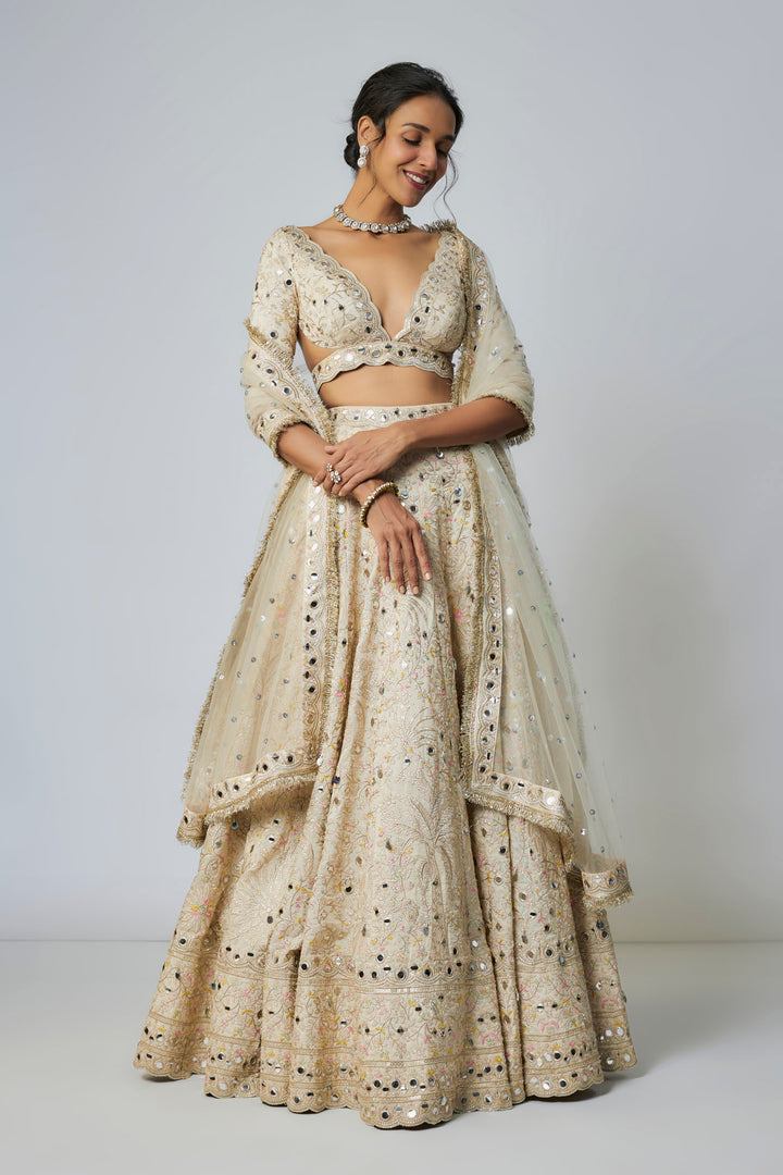Raima Lehenga Set