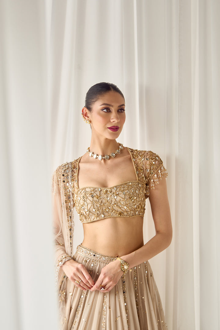Beige Mukaish And Mirrorwork Lehenga