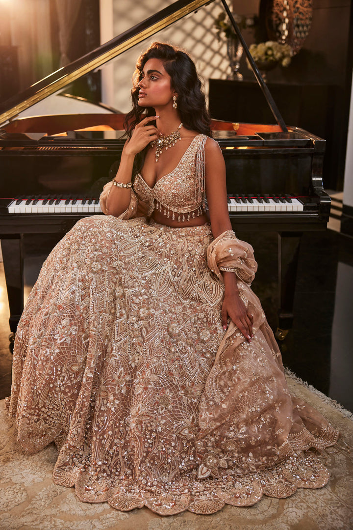 Gold Embroidered Organza Set