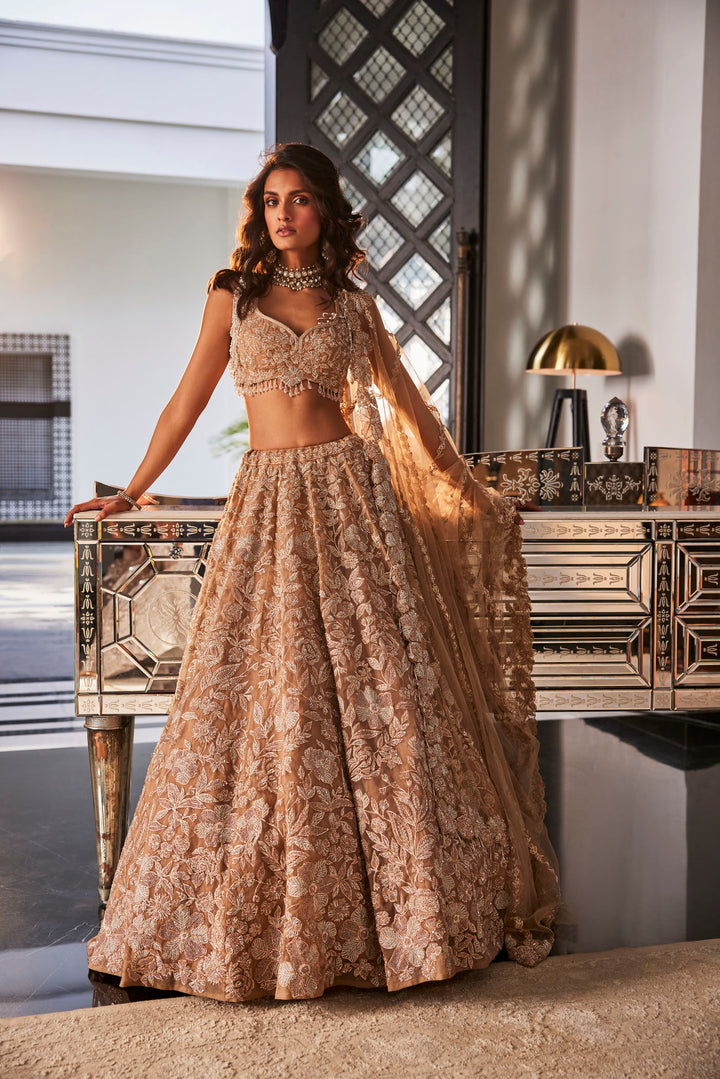 Gold Embroidered Organza Set