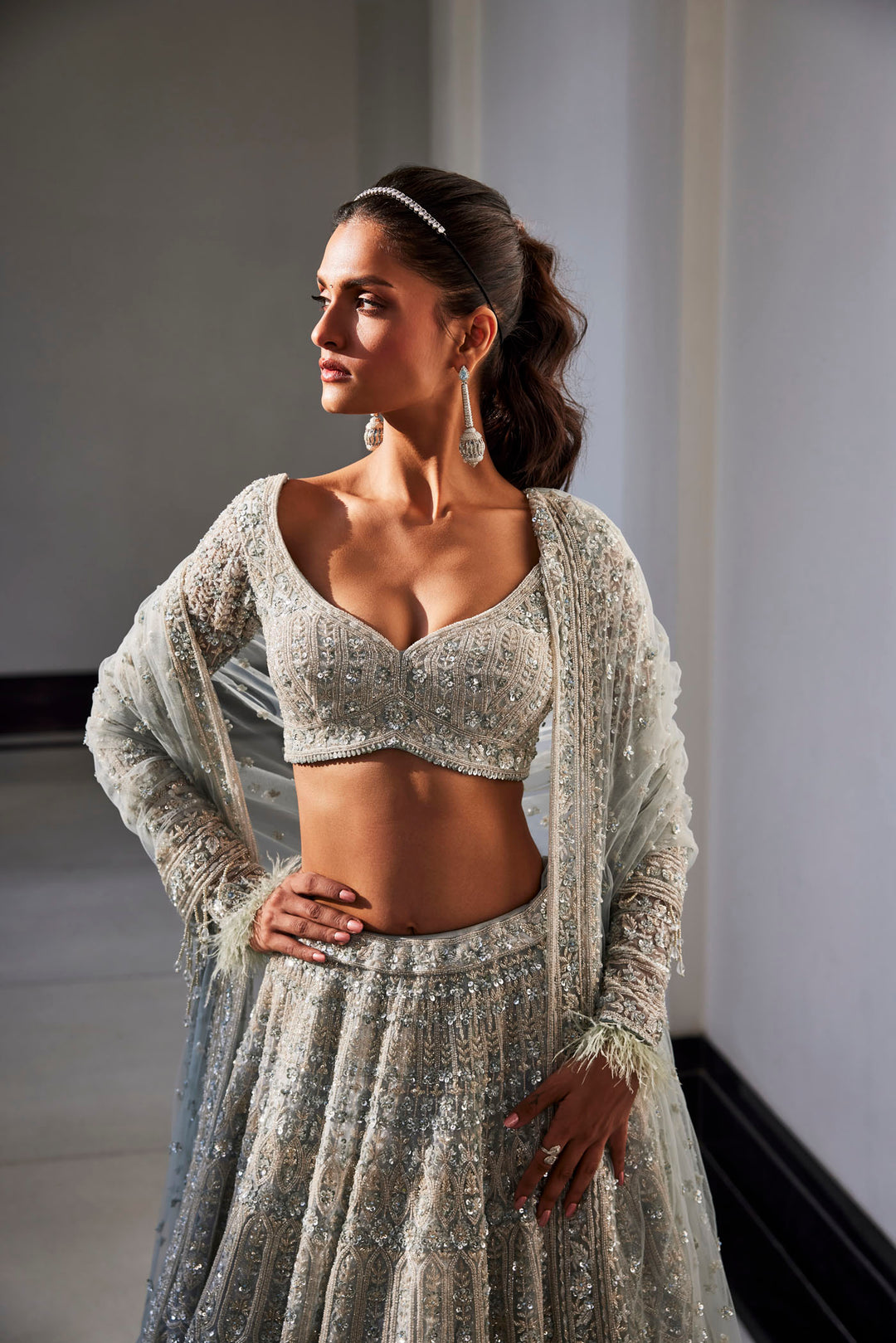 Iceblue Embroidered Organza Set