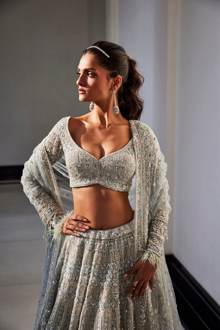 Iceblue Embroidered Organza Set