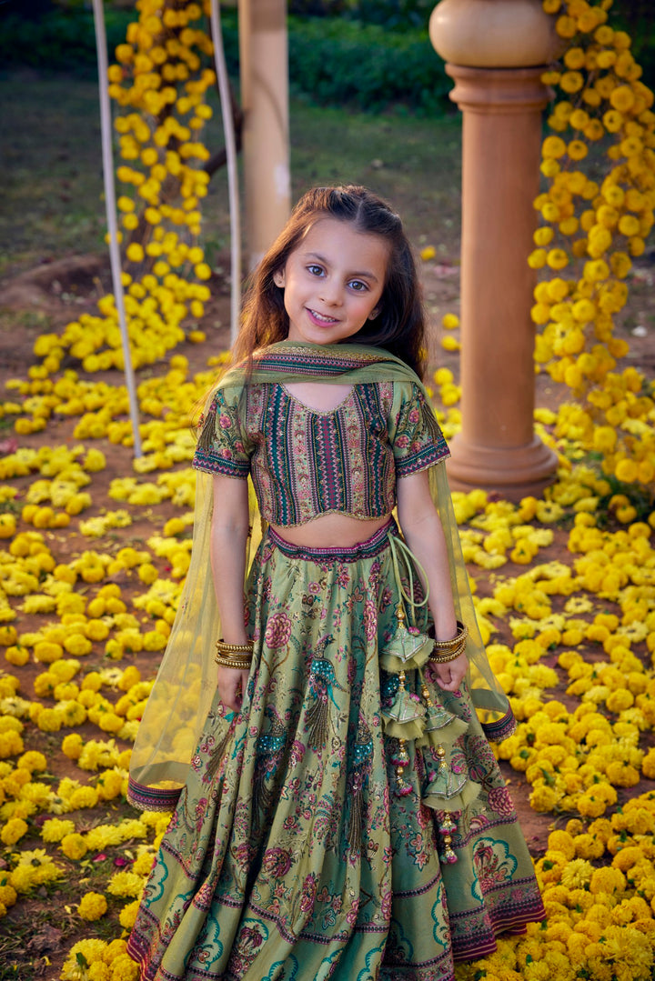 Bageecha Peacock Lehenga