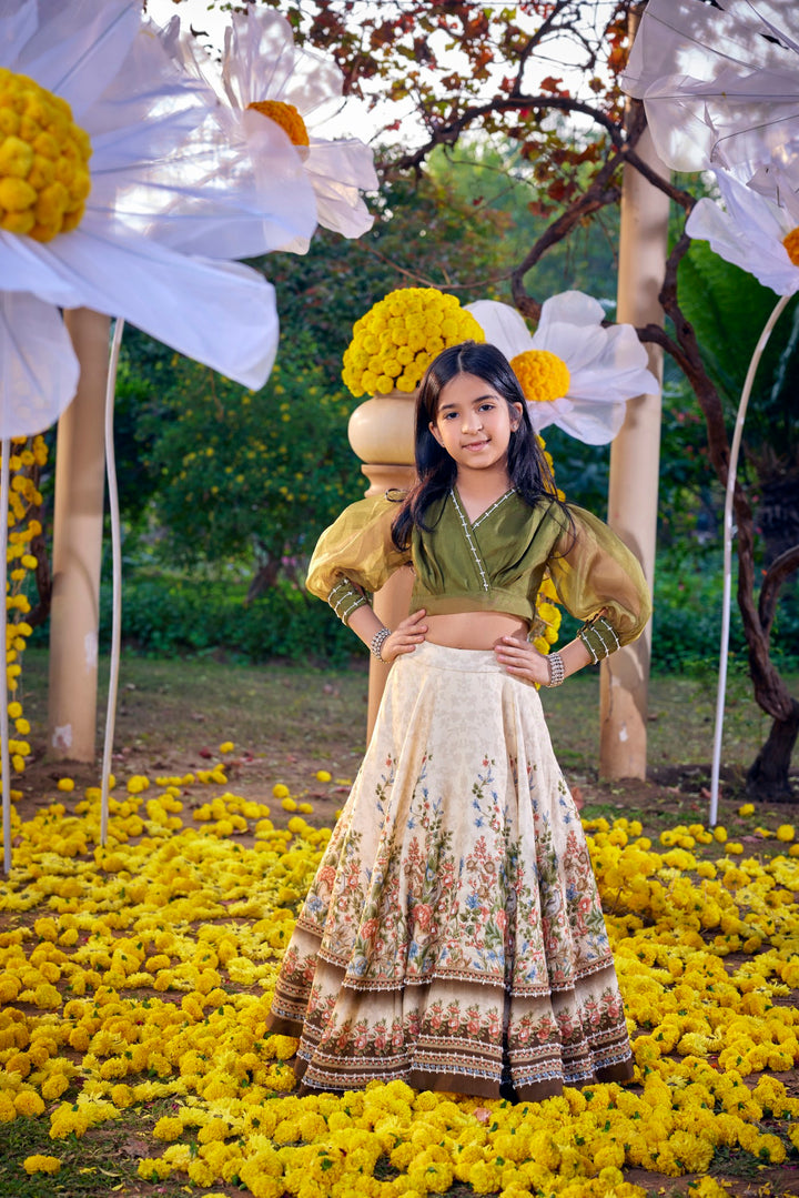 Amelia Vinatge Lehenga Set