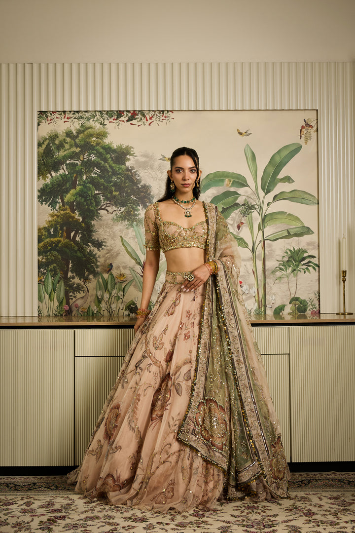 Saachi