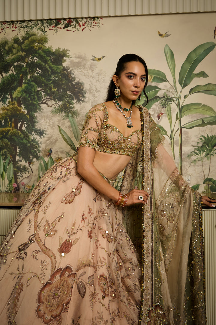 Saachi